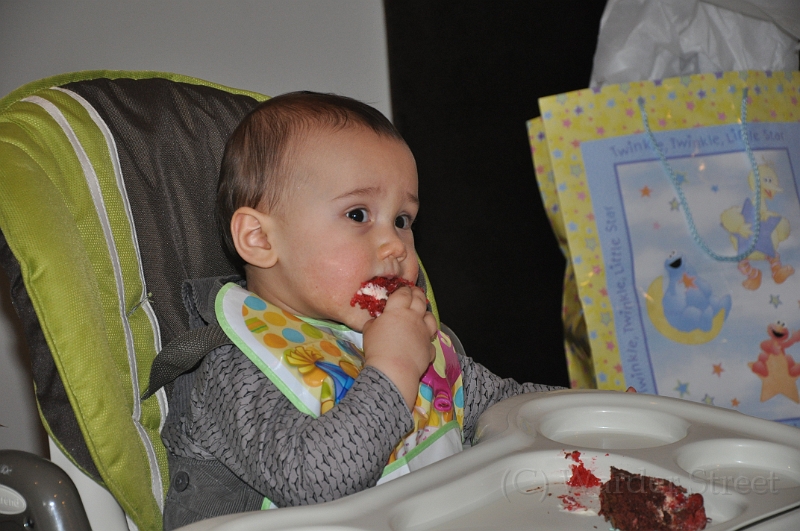 Tyler's First Birthday 27.jpg